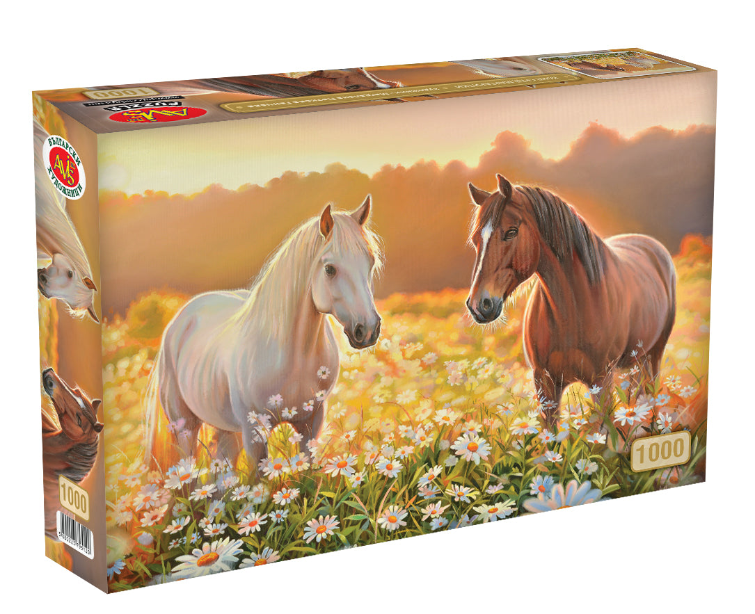 Коне сред маргаритки