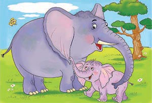 Семейство слончета