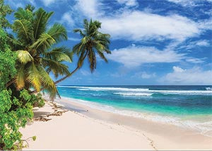 Плаж с палми